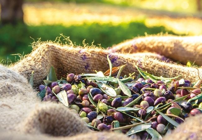 zalety oliwy z oliwek